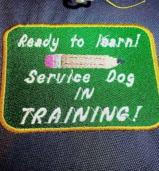 Ready to learn-Custom color Patch